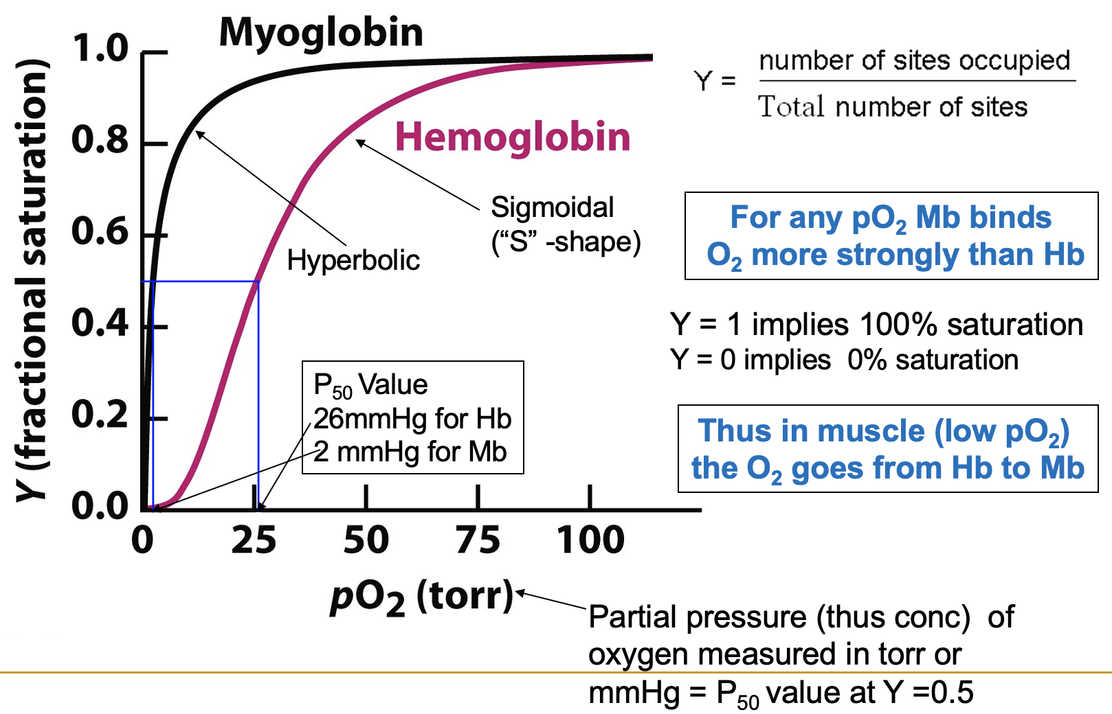 Quaternary Structure | Flashcards