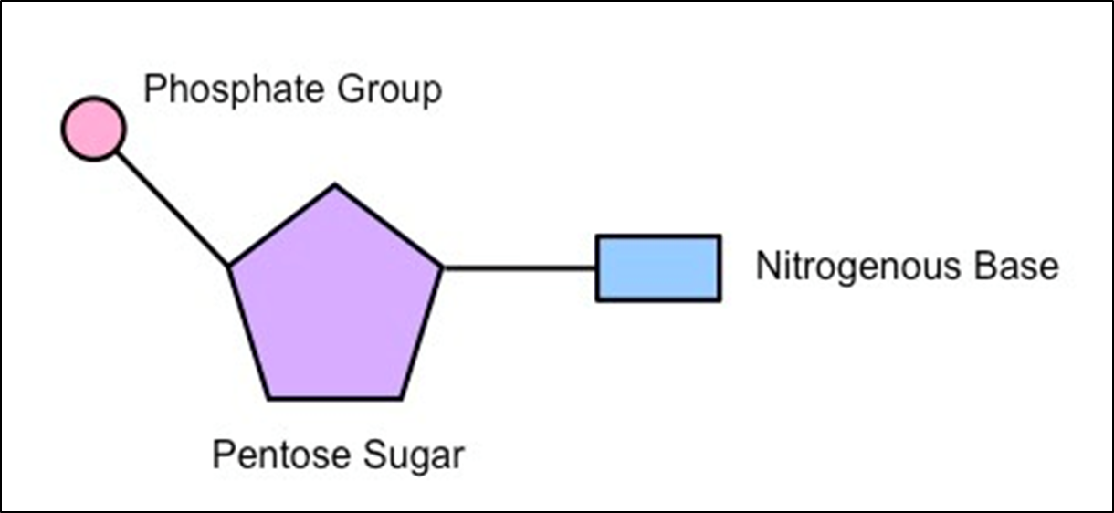 added card