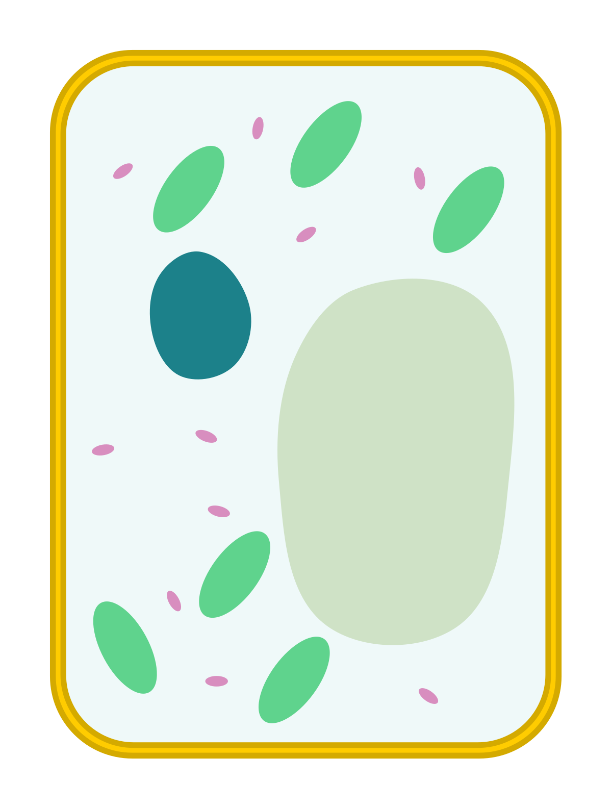 added card