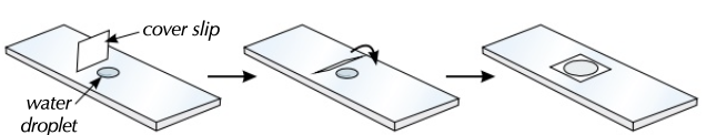 added card