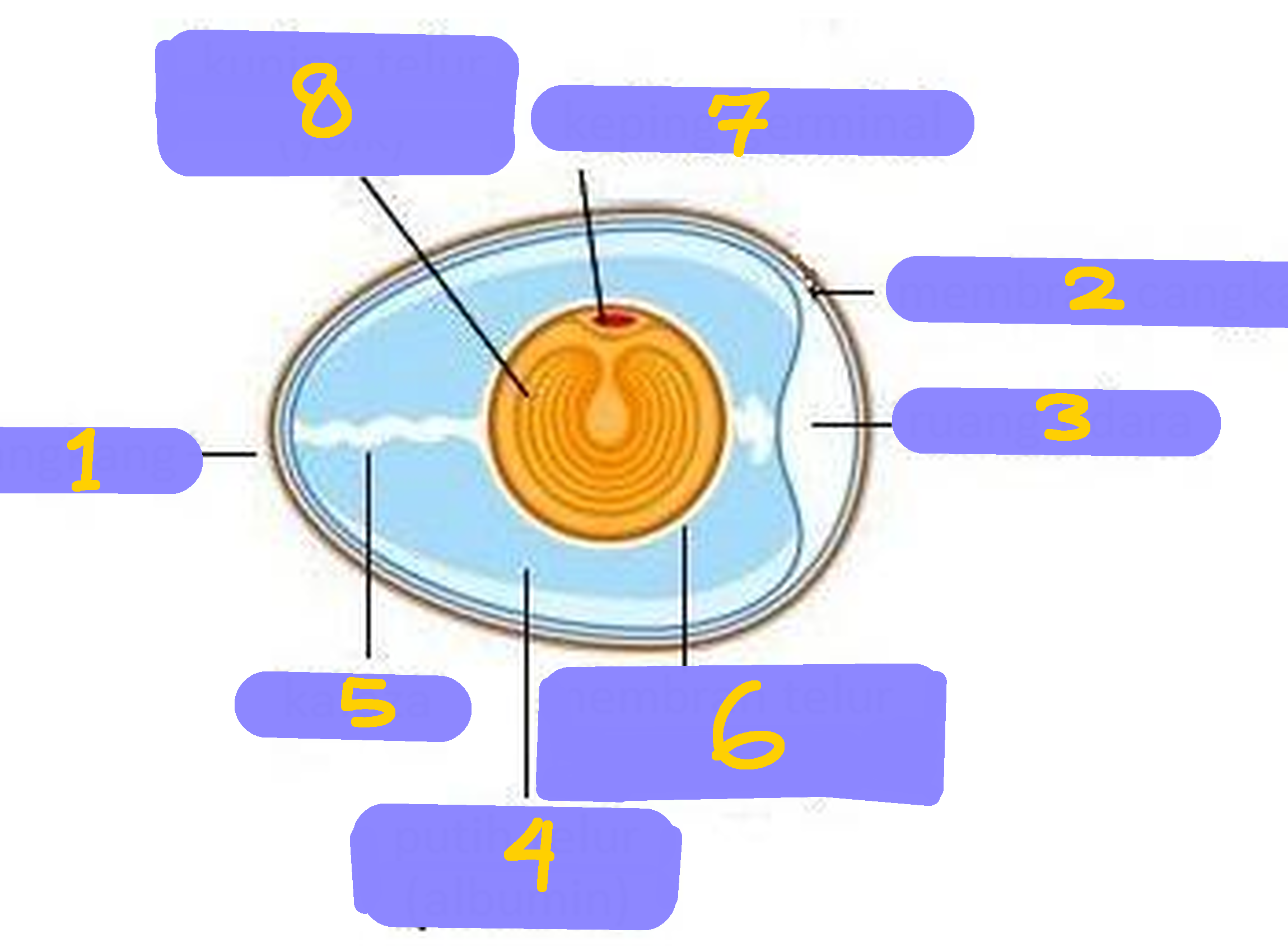 added card