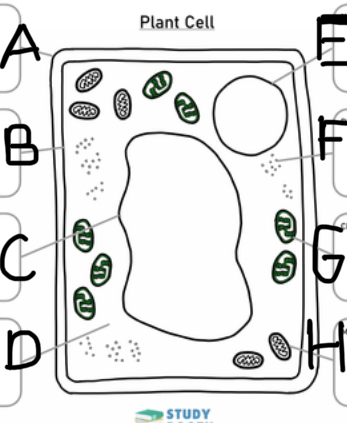 added card