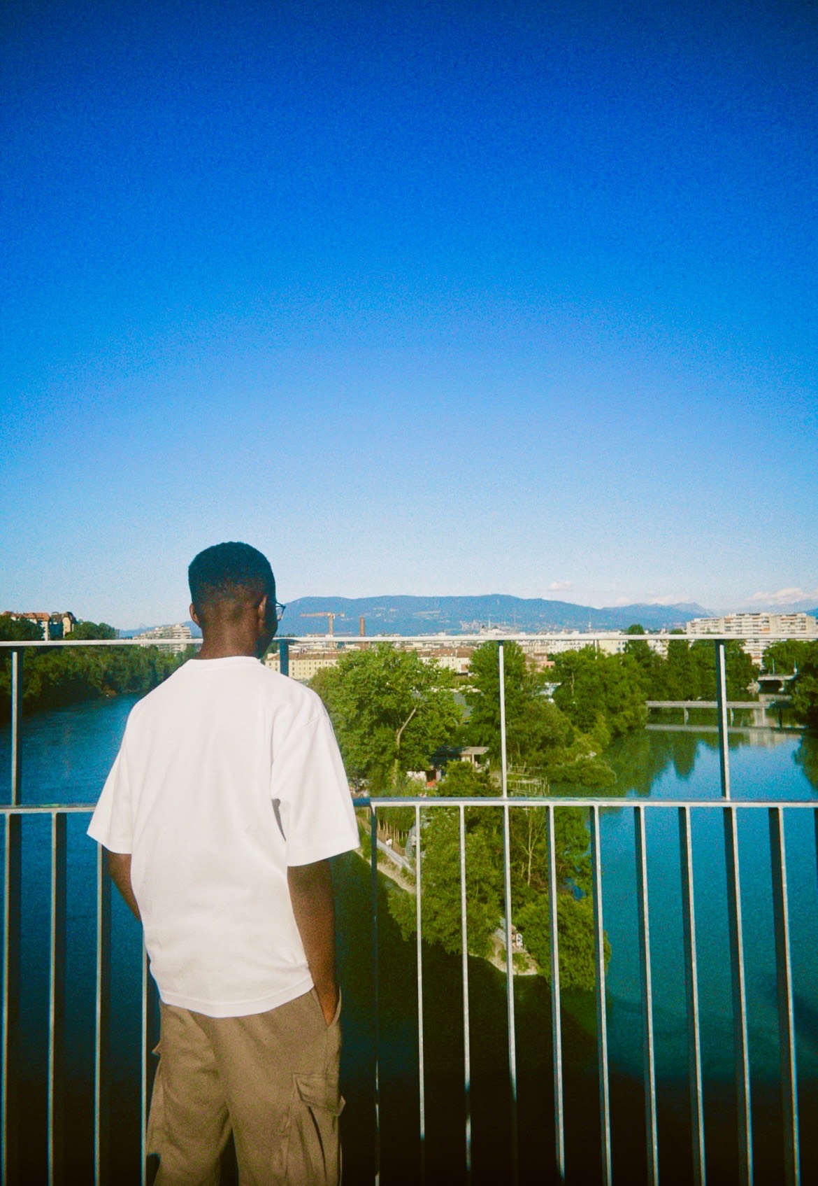 b4-bioenergetics-flashcards