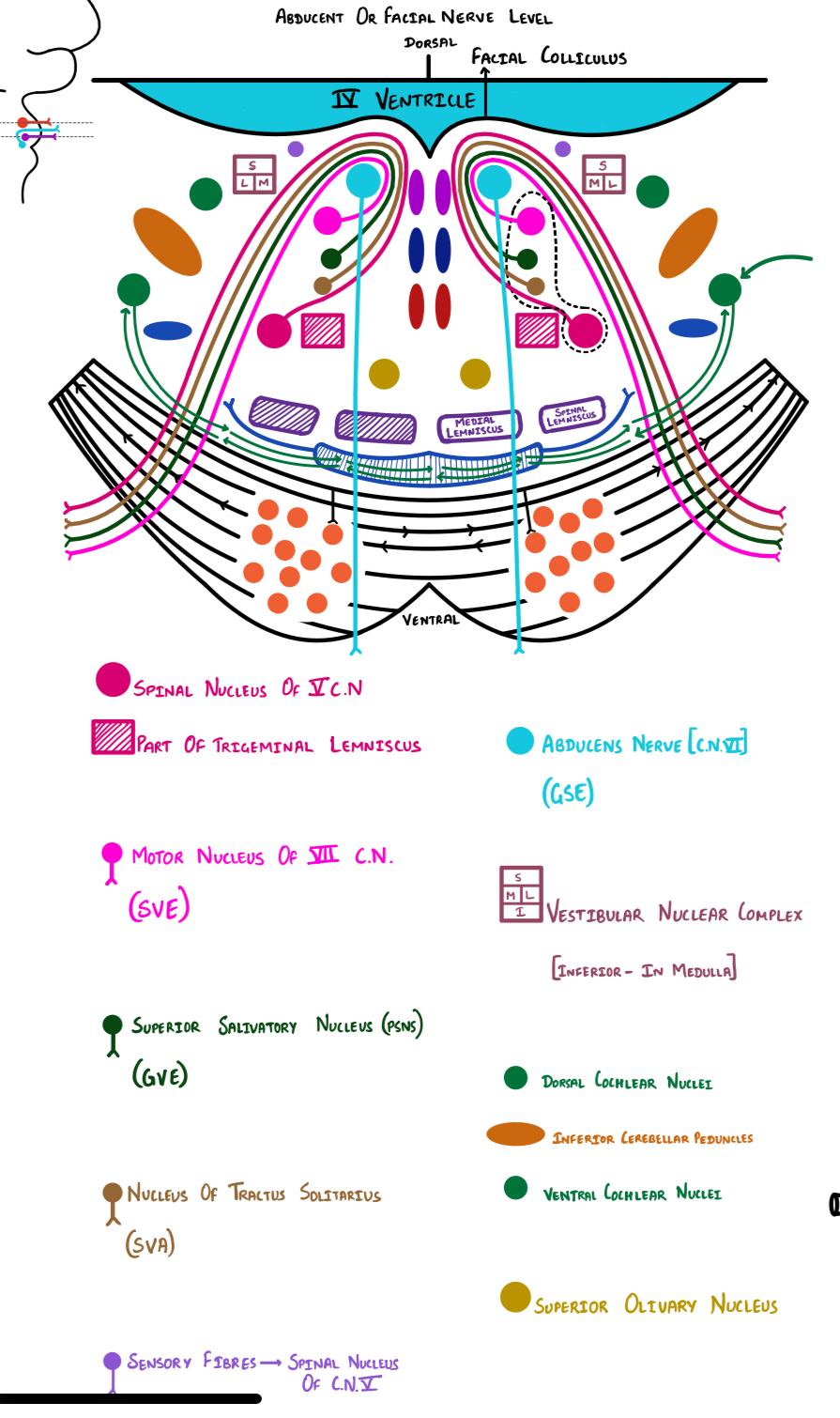 added card