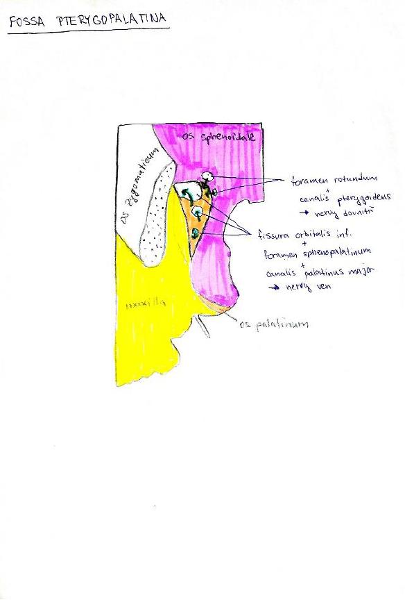 added card