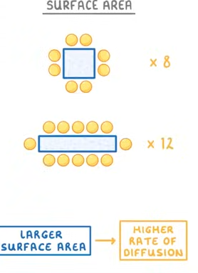 added card