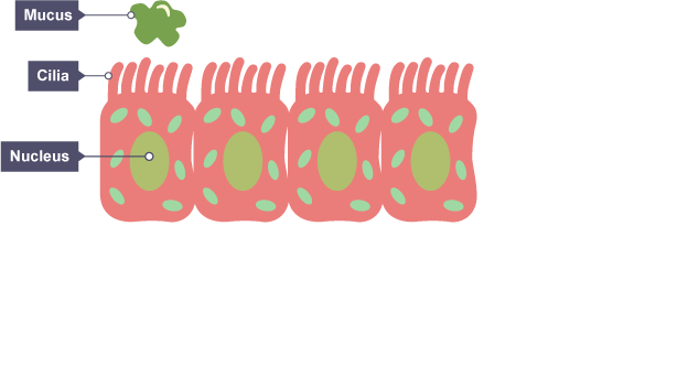 added card