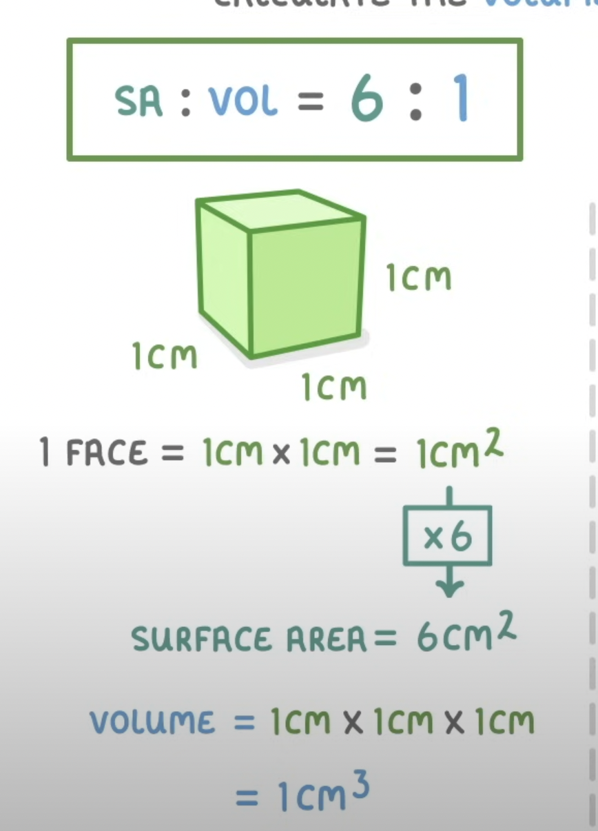 added card