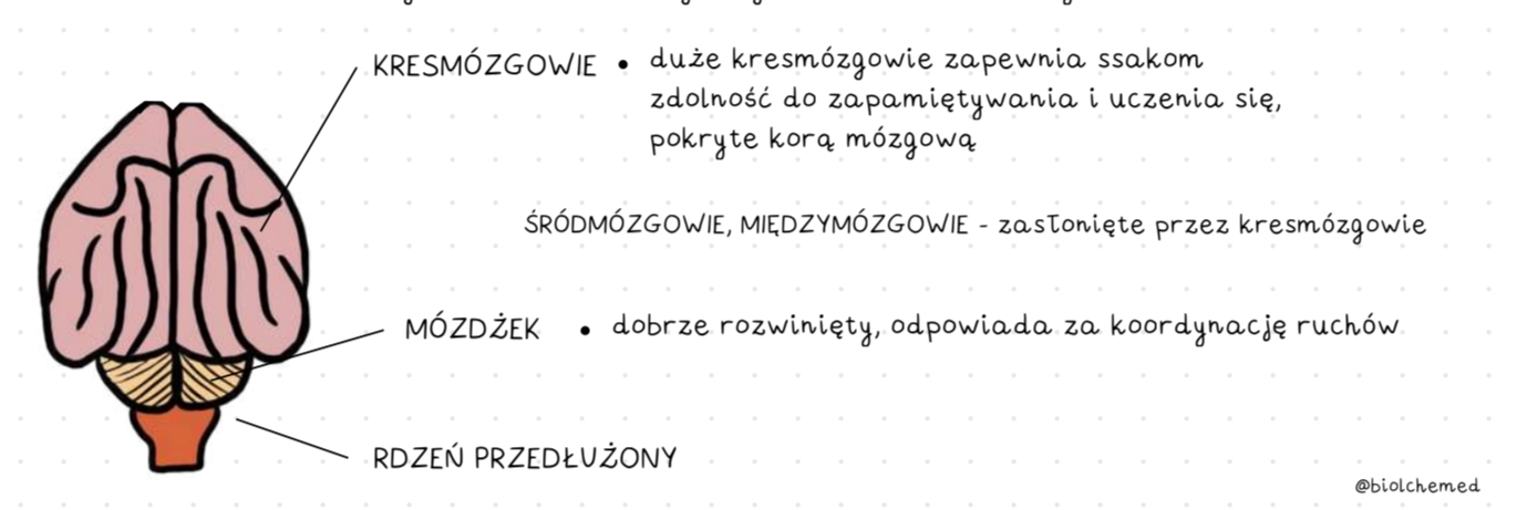 added card