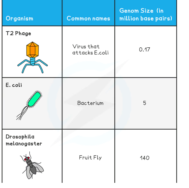 added card