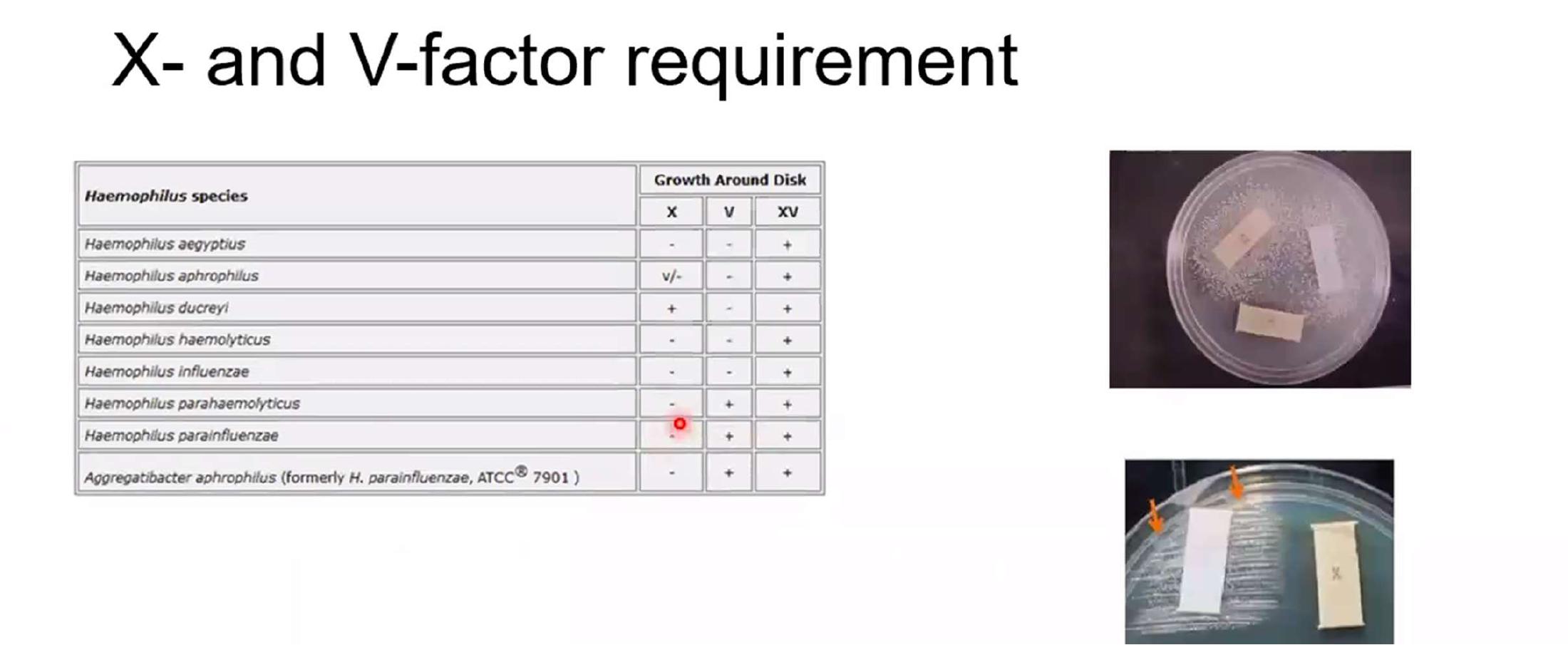 added card