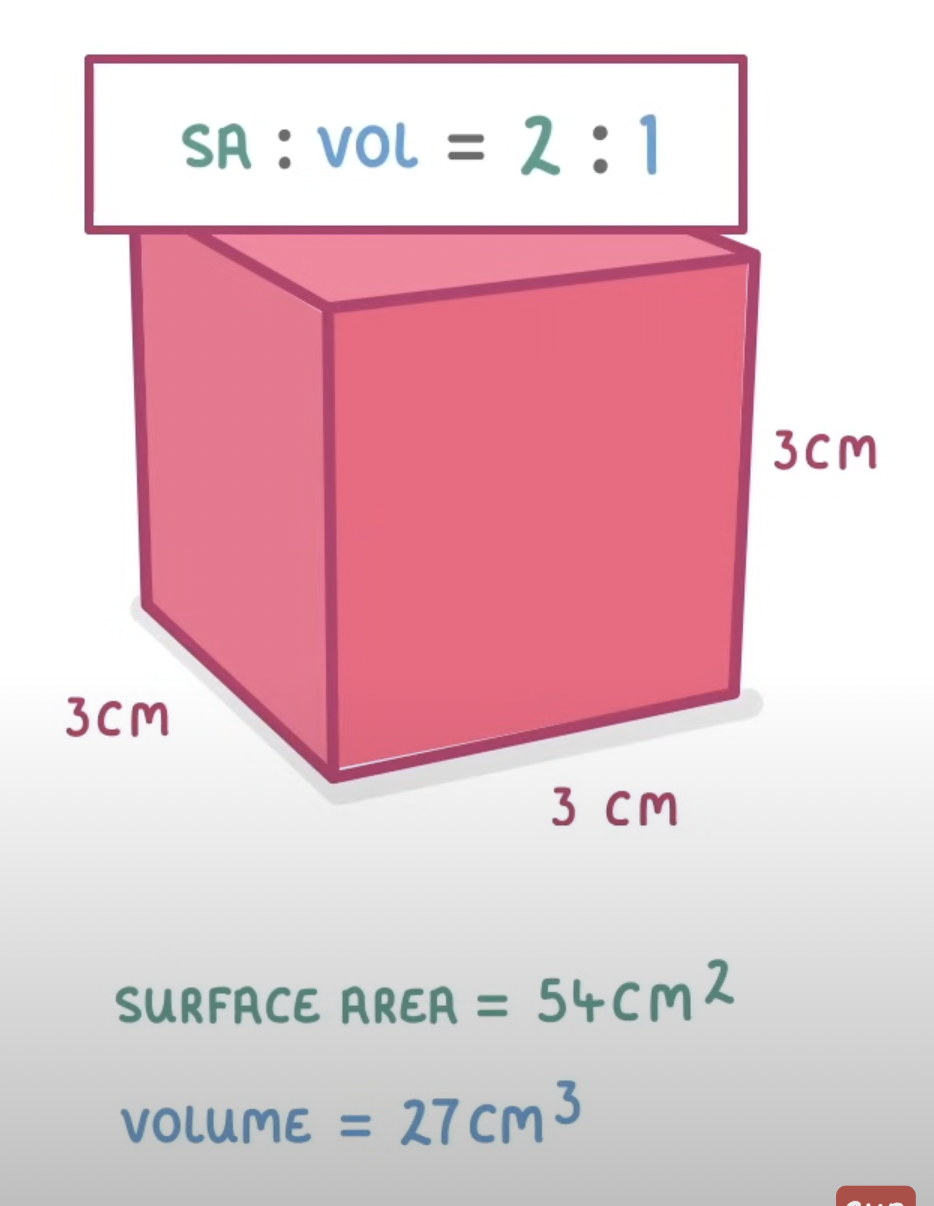 added card