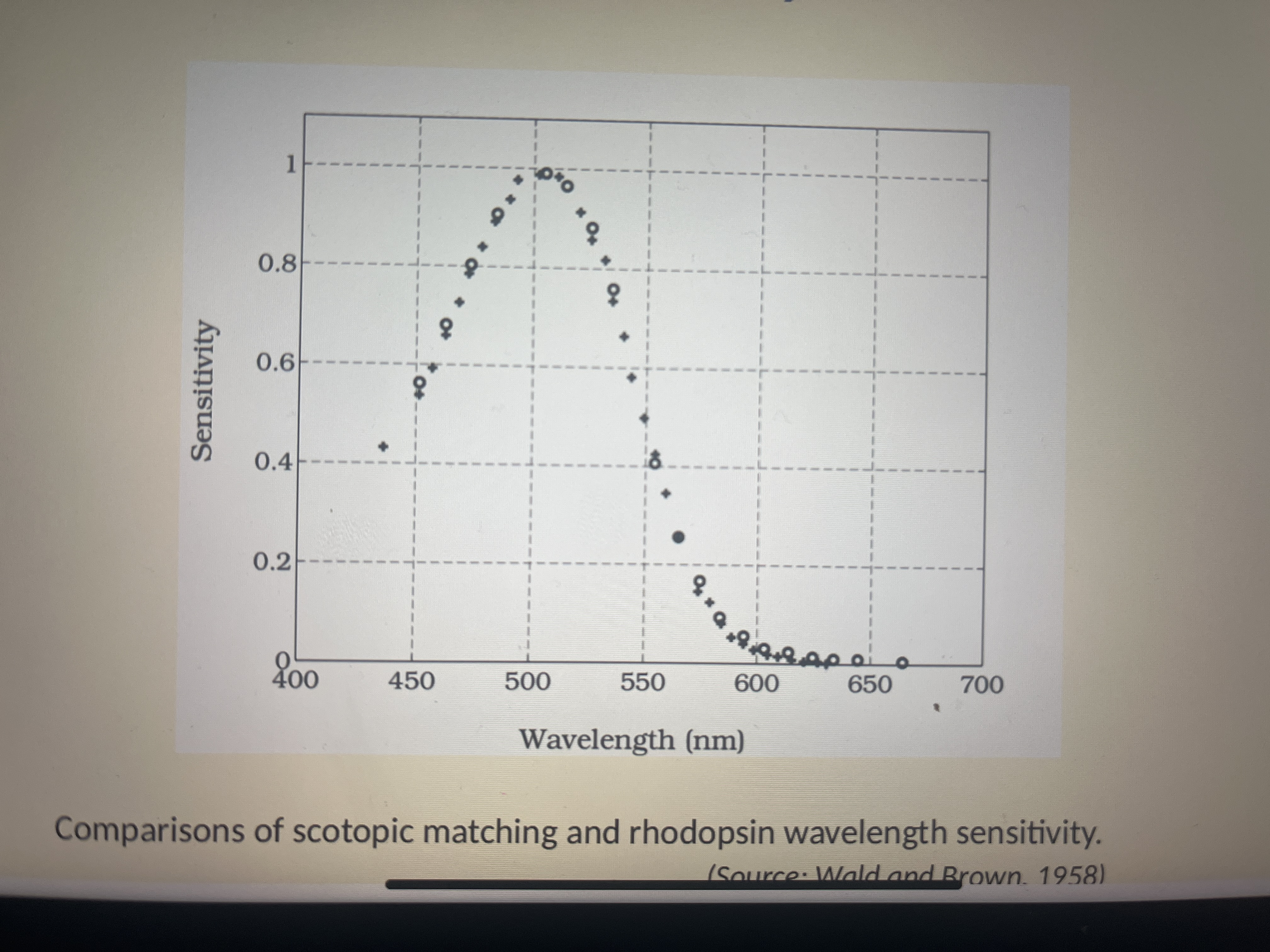 Diff Spectrum Light Sense I - Transduction Spectral Sens | Flashcards