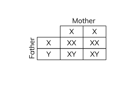 added card