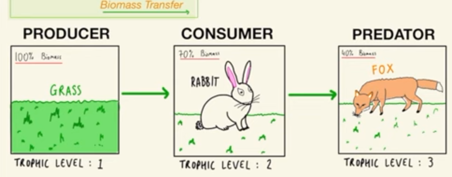 added card