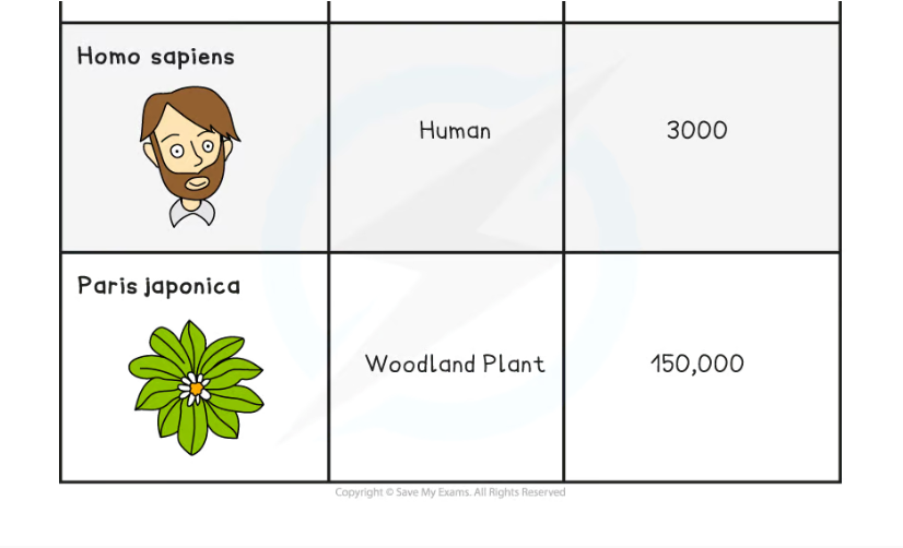 added card