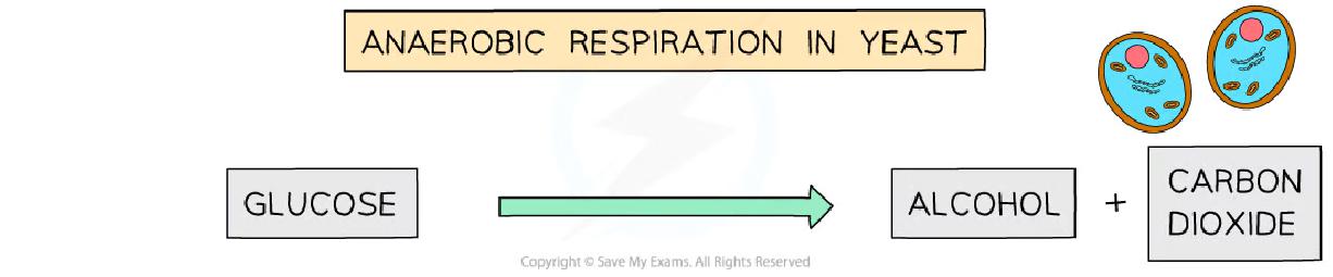 added card