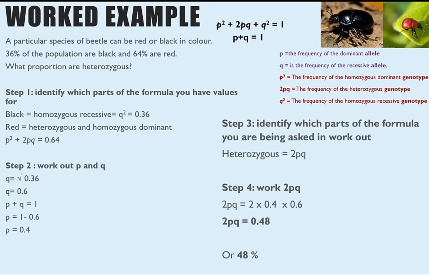 added card