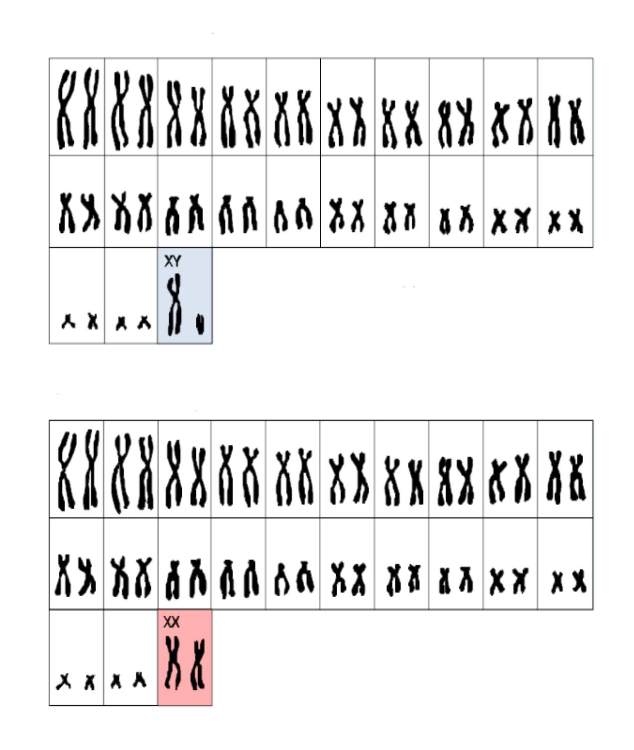 added card